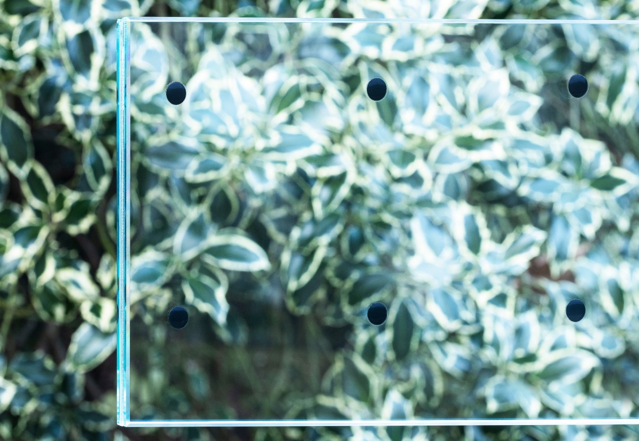 Bird1st Lami – Ami belülről látható