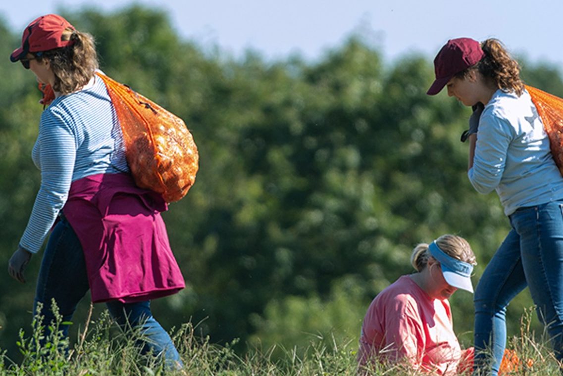 social stewardship llodio