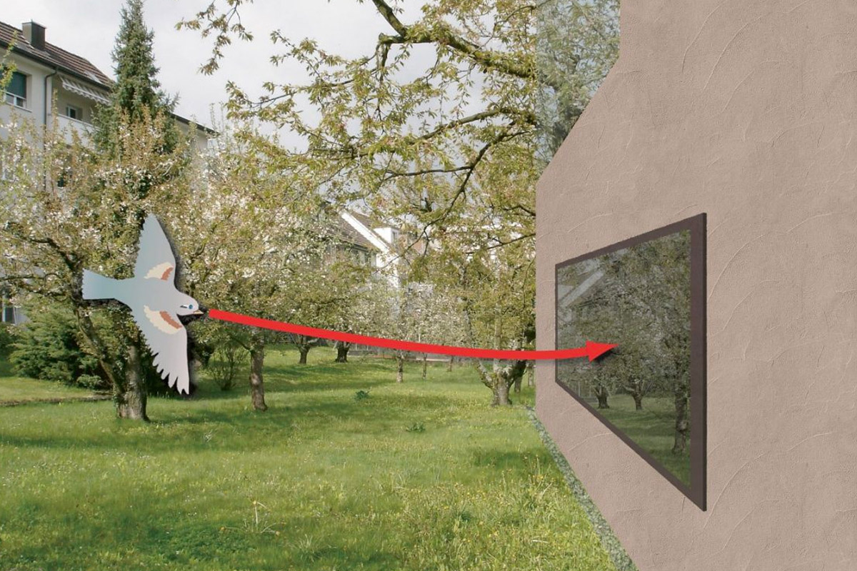 View all our bird-friendly solutions